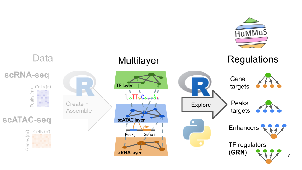 hummus object schema