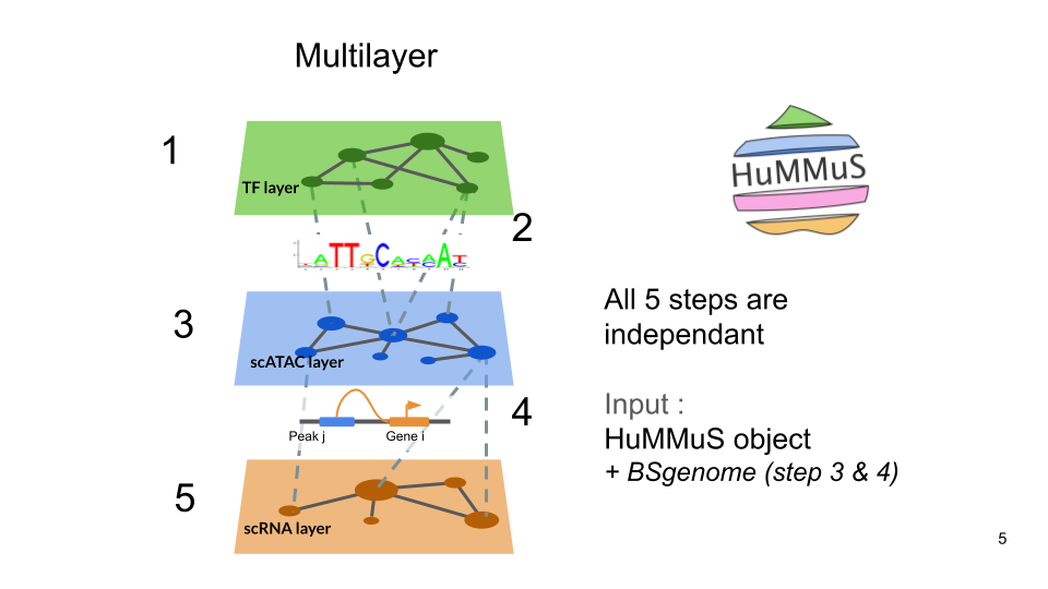 Steps to build HuMMuS objects